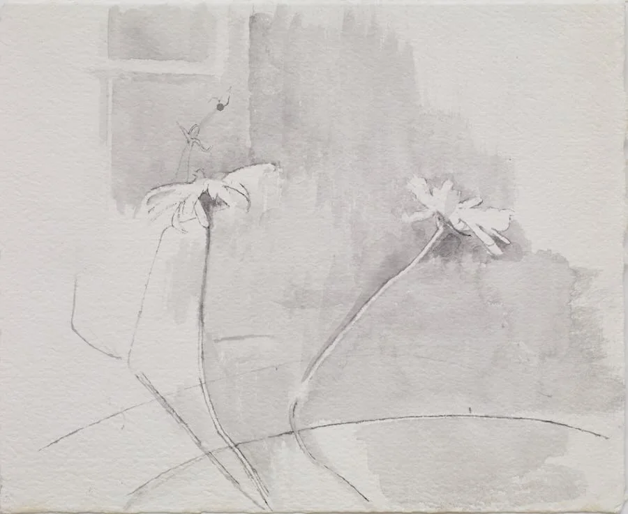 Charlotte  Verity - Daisies at the Window