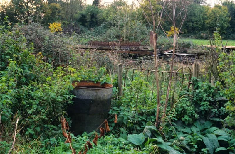 Justin Partkya - PHOTOGRAPHS FROM ROGER DEAKIN'S WALNUT TREE FARM