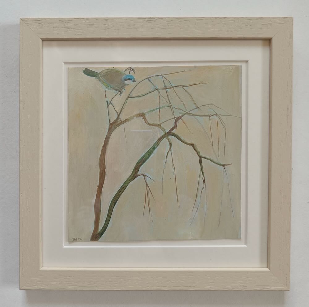 Tessa  Newcomb - LaBurnum