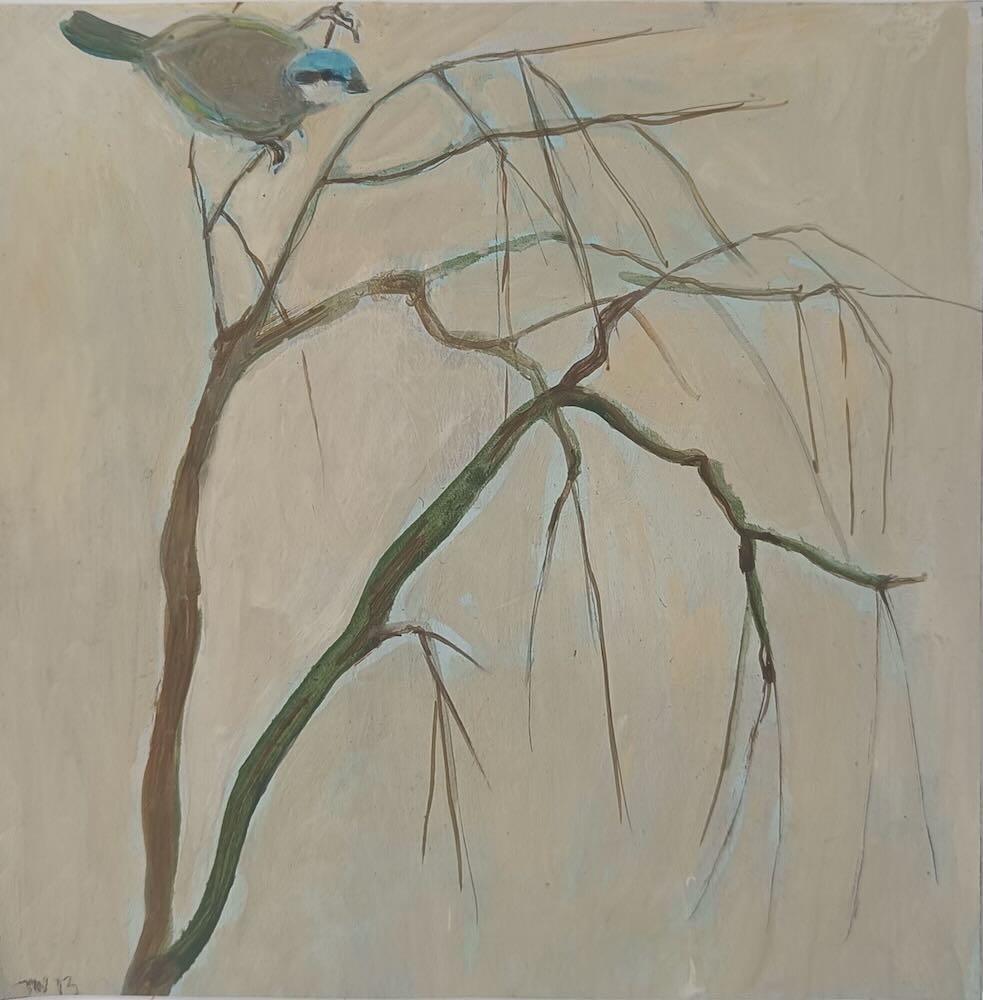 Tessa  Newcomb - LaBurnum