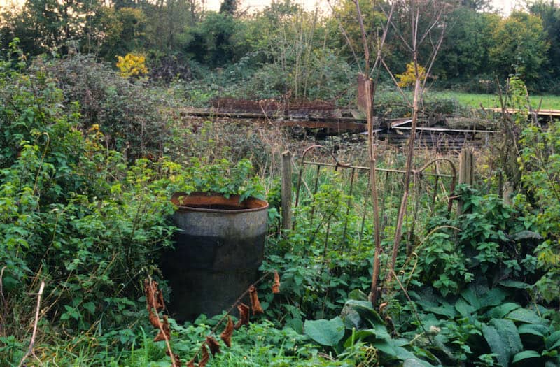 JUSTIN PARTYKA - PHOTOGRAPHS FROM ROGER DEAKIN'S WALNUT TREE FARM