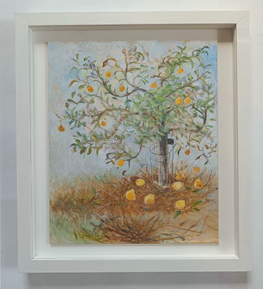 Tessa  Newcomb - Quinces