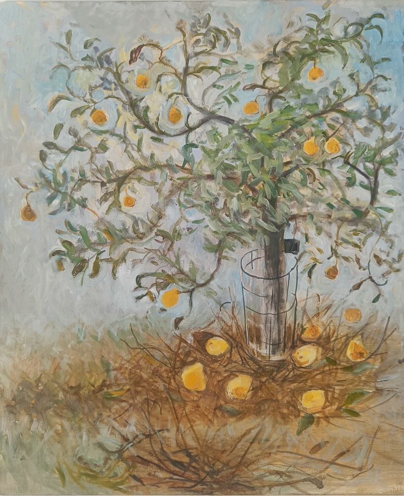 Tessa  Newcomb - Quinces