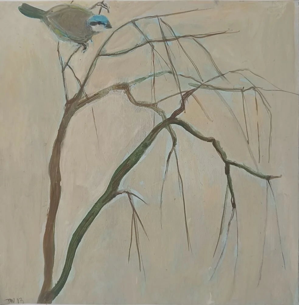 Tessa  Newcomb - LaBurnum