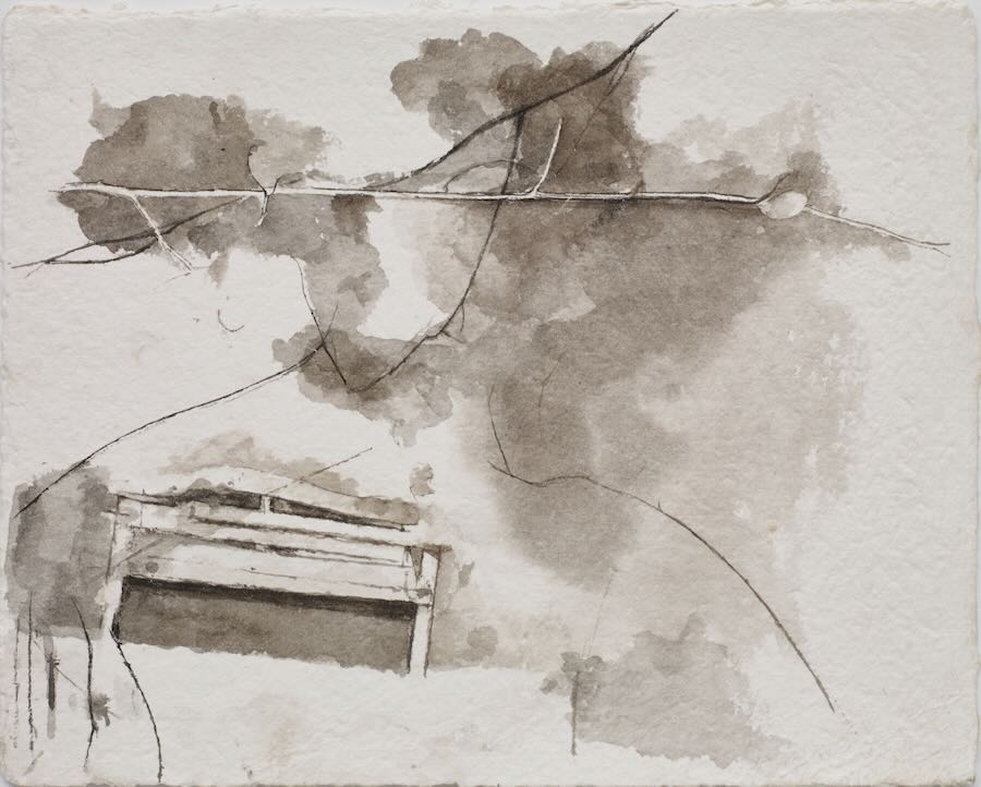 Charlotte  Verity - Their Bench