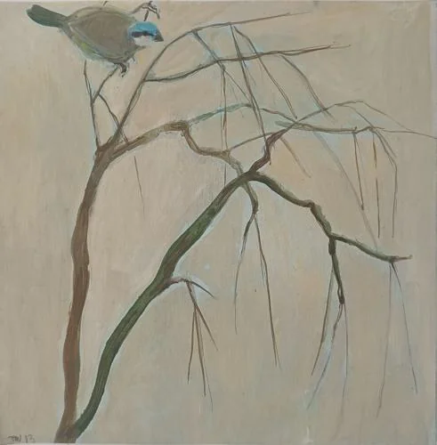 Tessa  Newcomb