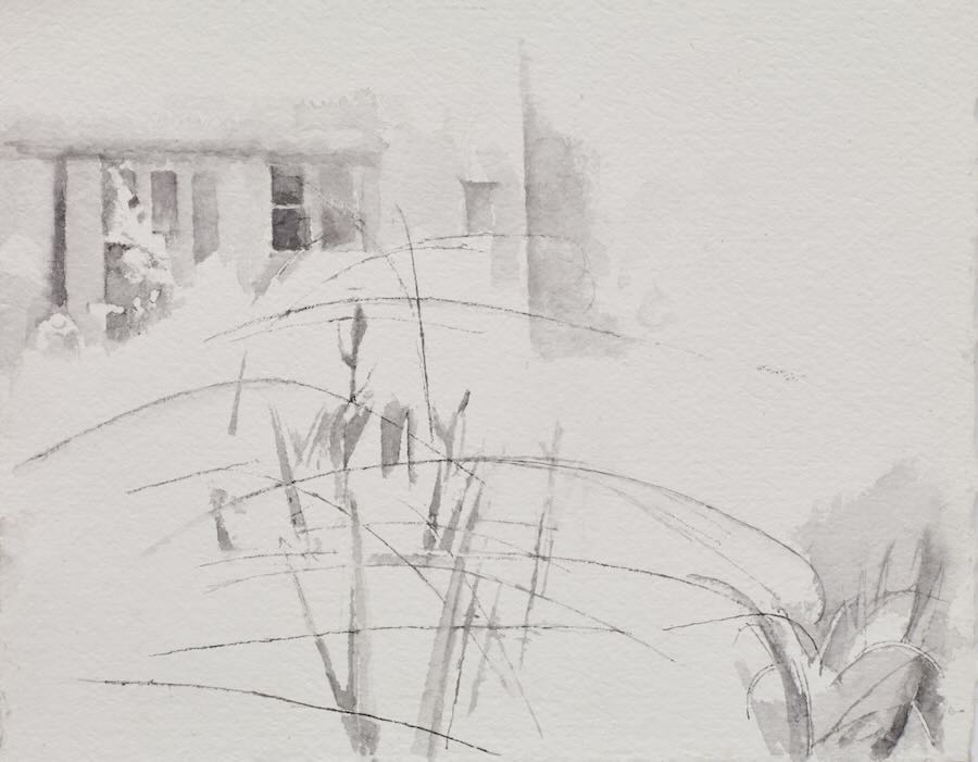 Charlotte  Verity - Windows, Irises, Grasses