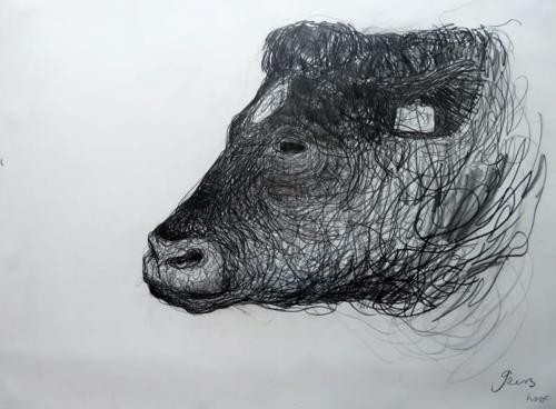 Jason  Gathorne-Hardy