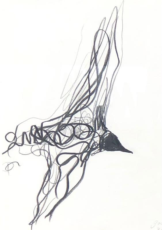 Jason  Gathorne-Hardy - Flight Drawing VI