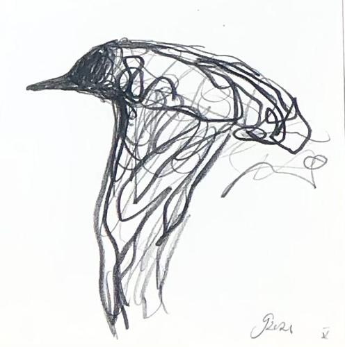 Jason  Gathorne-Hardy