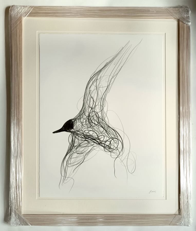 Jason  Gathorne-Hardy - Flying By