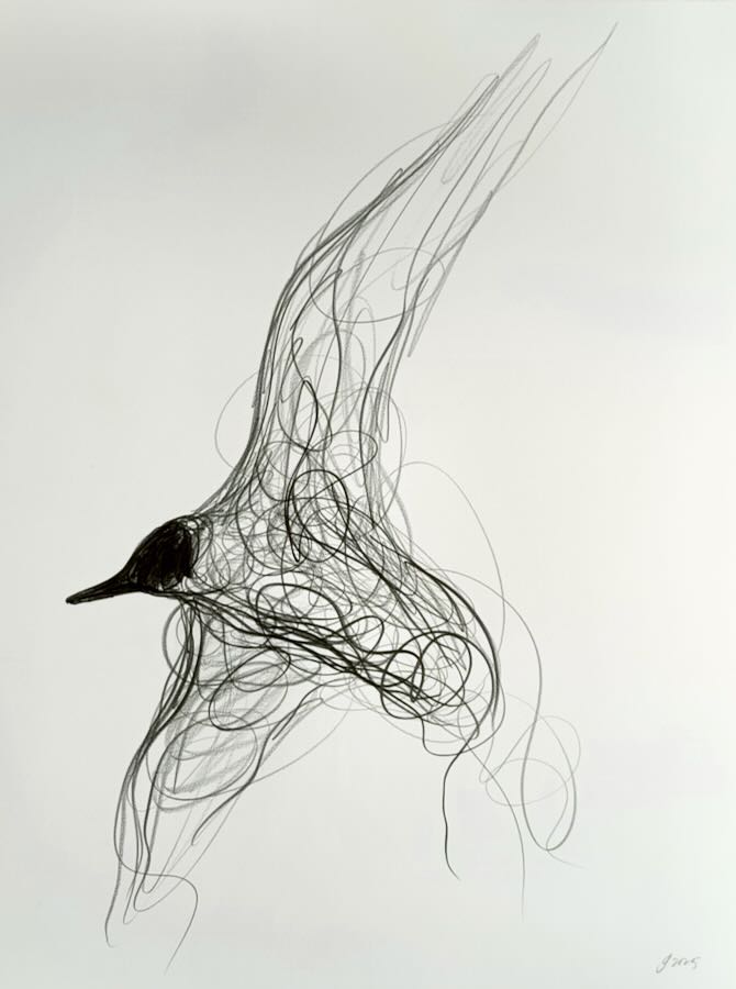 Jason  Gathorne-Hardy - Flying By