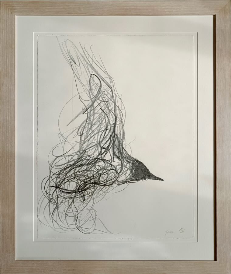 Jason  Gathorne-Hardy - Flying By II