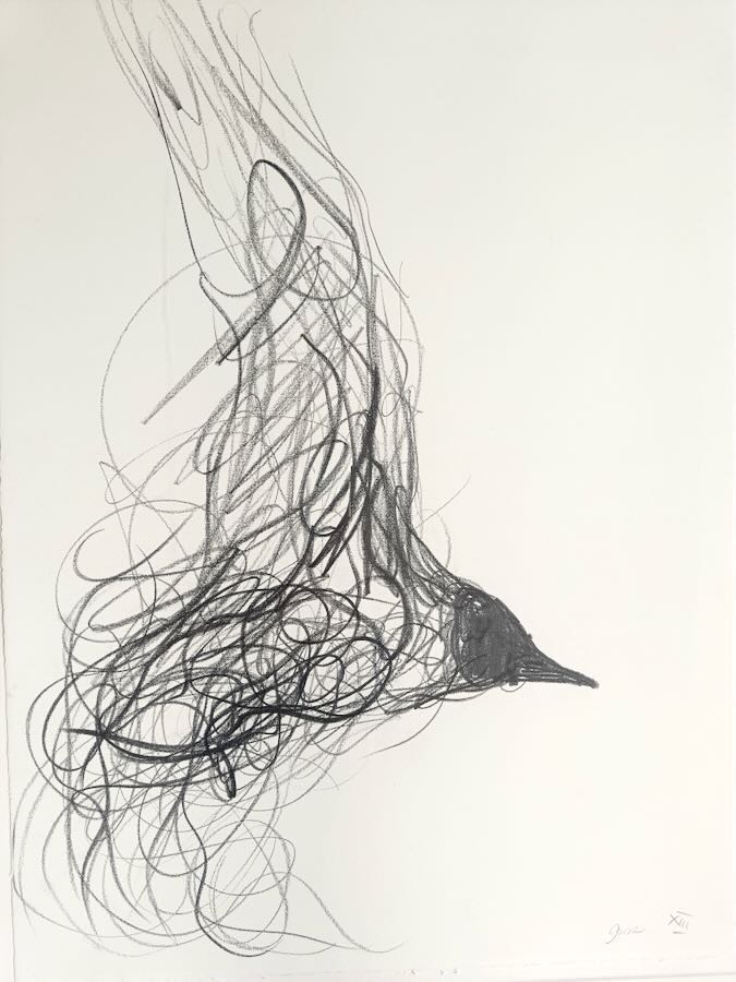 Jason  Gathorne-Hardy - Flying By II