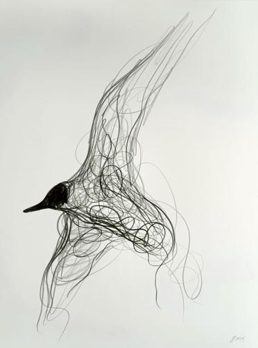 Jason  Gathorne-Hardy