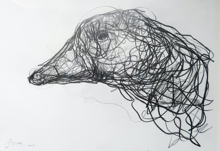 Jason  Gathorne-Hardy - Goose Head