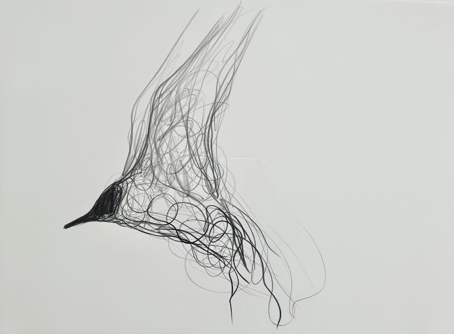 Jason  Gathorne-Hardy - Gull Rising