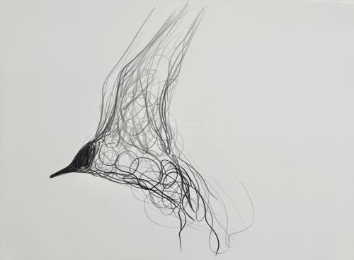 Jason  Gathorne-Hardy