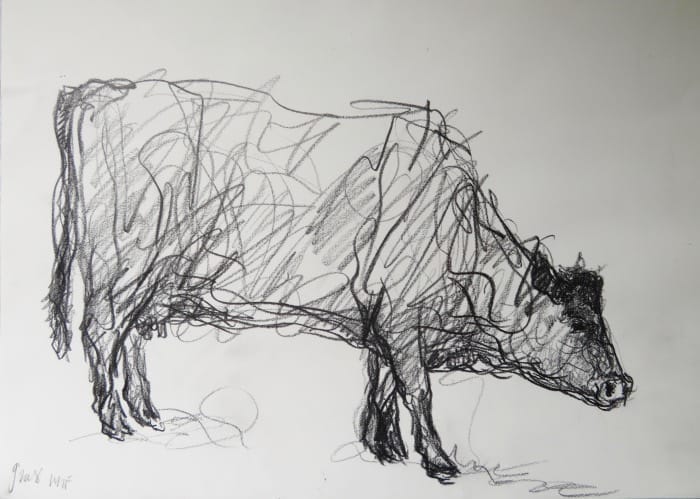 Jason  Gathorne-Hardy - Heifer II