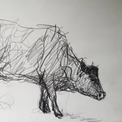 Heifer II