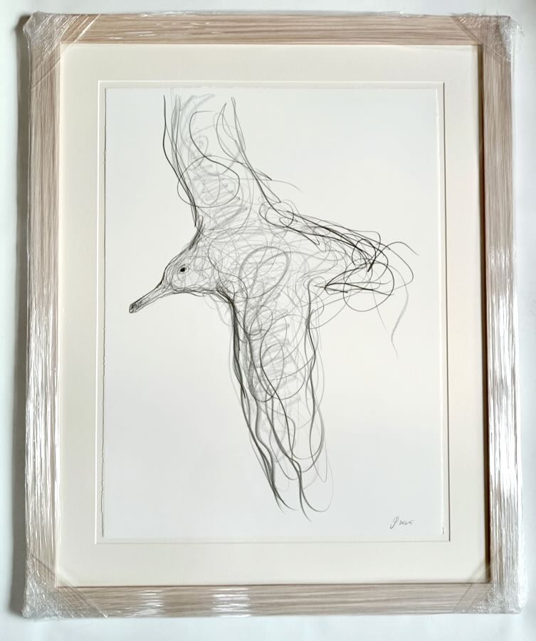 Jason  Gathorne-Hardy - Herring Gull