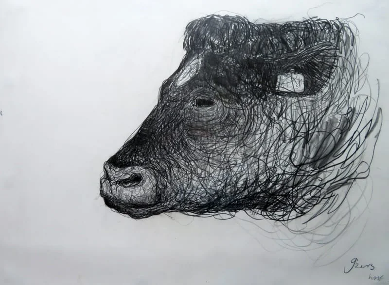 Jason Gathorne-Hardy - Bull's Head
