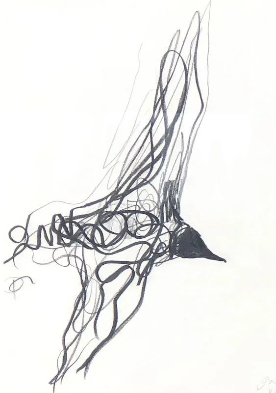Jason Gathorne-Hardy - Flight Drawing VI