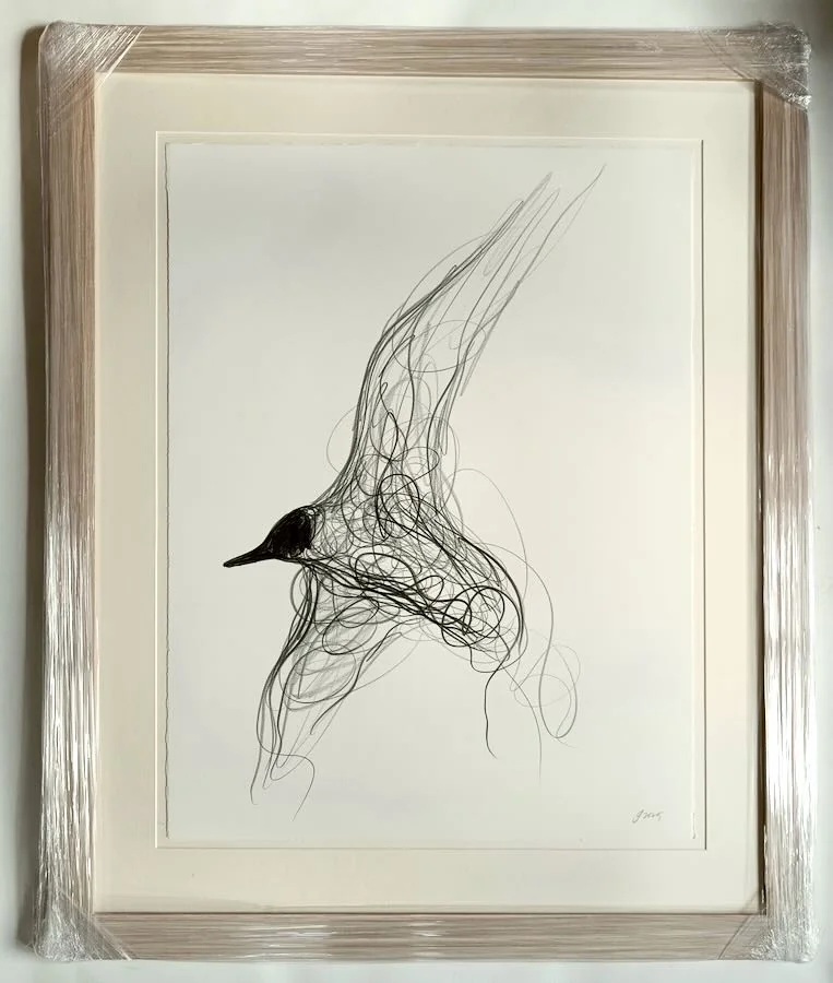 Jason Gathorne-Hardy - Flying By