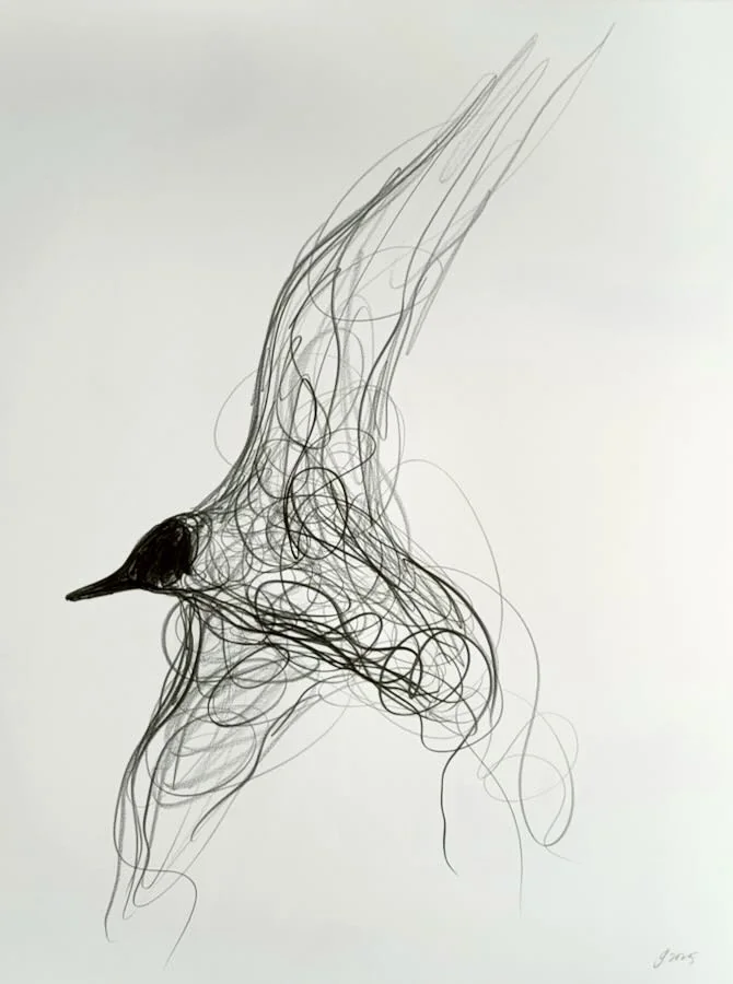 Jason Gathorne-Hardy - Flying By