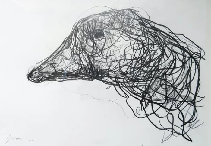 Jason Gathorne-Hardy - Goose Head