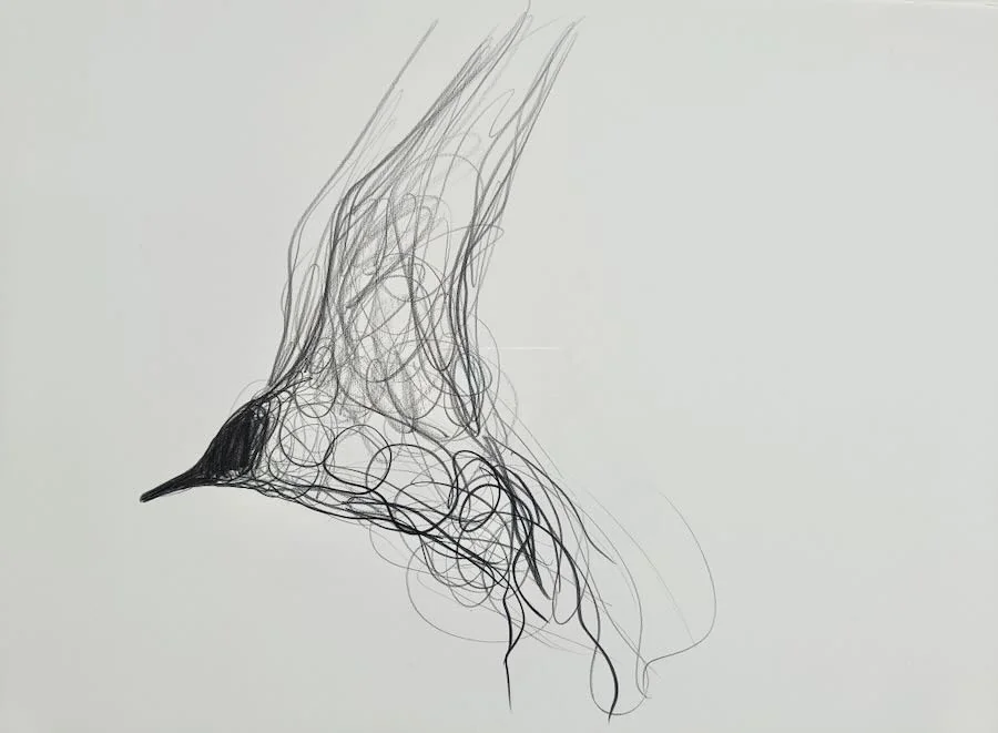 Jason Gathorne-Hardy - Gull Rising
