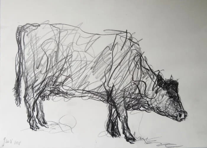 Jason Gathorne-Hardy - Heifer II