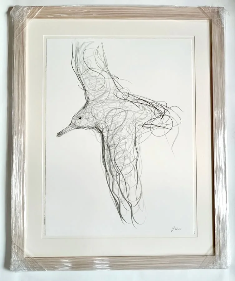 Jason Gathorne-Hardy - Herring Gull