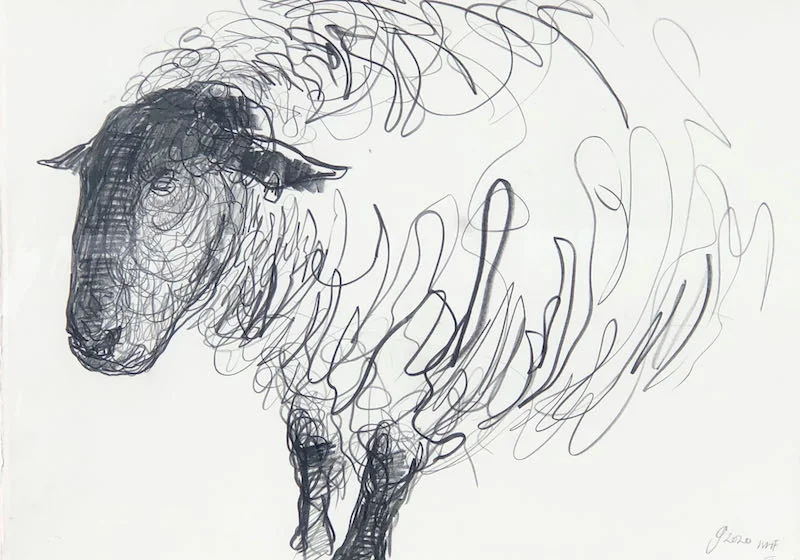 Jason Gathorne-Hardy - Study of Suffolk Ram III