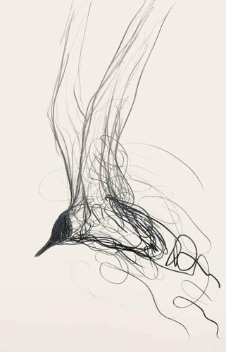 Jason  Gathorne-Hardy