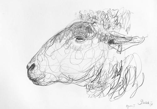 Jason  Gathorne-Hardy