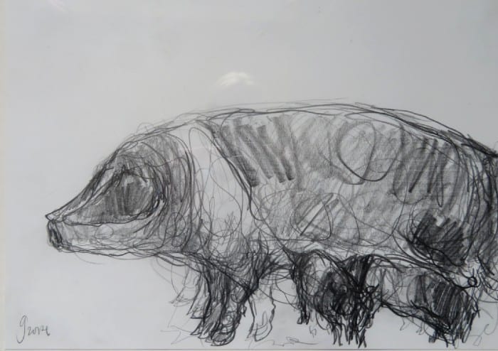 Jason  Gathorne-Hardy - Sow with piglets