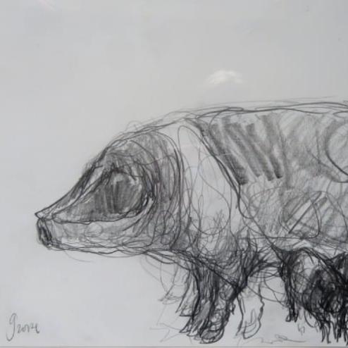 Jason  Gathorne-Hardy