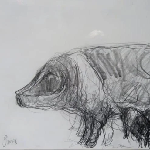 Sow with piglets