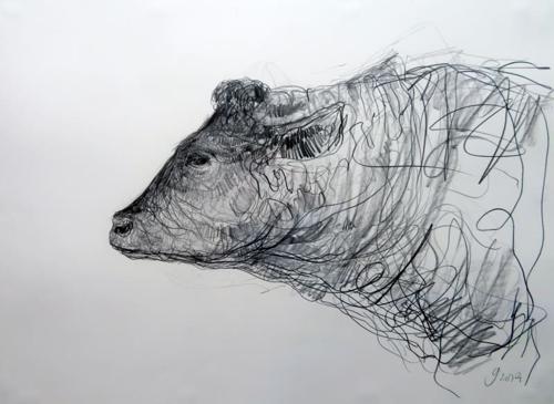 Jason  Gathorne-Hardy