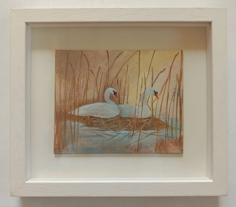 Tessa  Newcomb - Two Swans