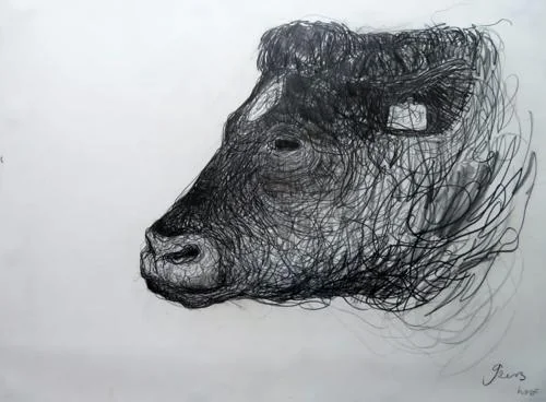 Bull's Head