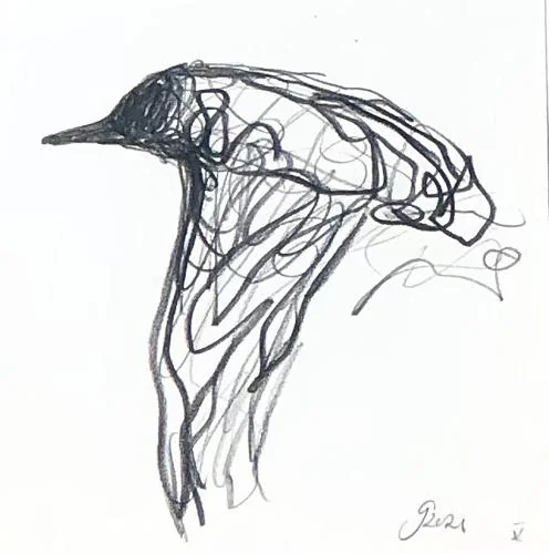 Flight Study V