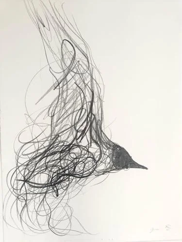 Flying By II