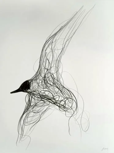 Flying By