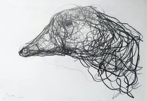 Goose Head