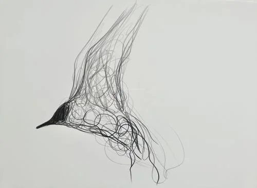 Gull Rising