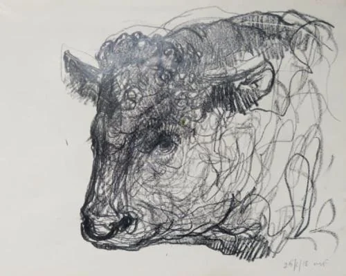 Study of Bull IV