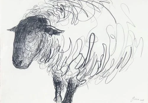 Study of Suffolk Ram III