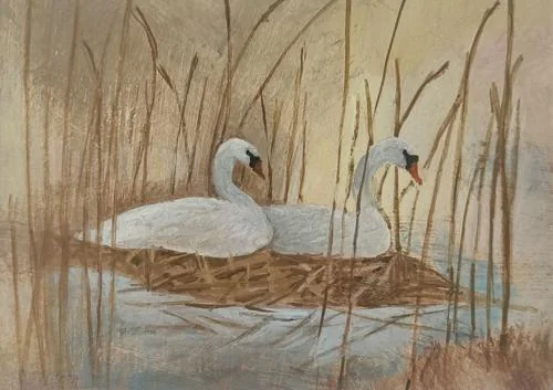 Two Swans